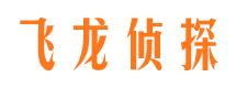 水城私家调查公司